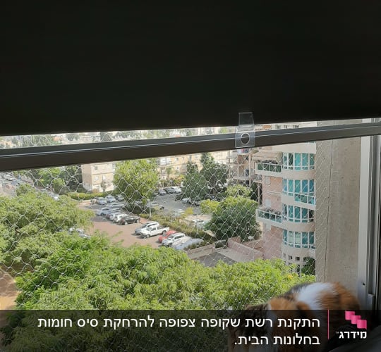 חתול יושב על אדן חלון עם רשת מגן
